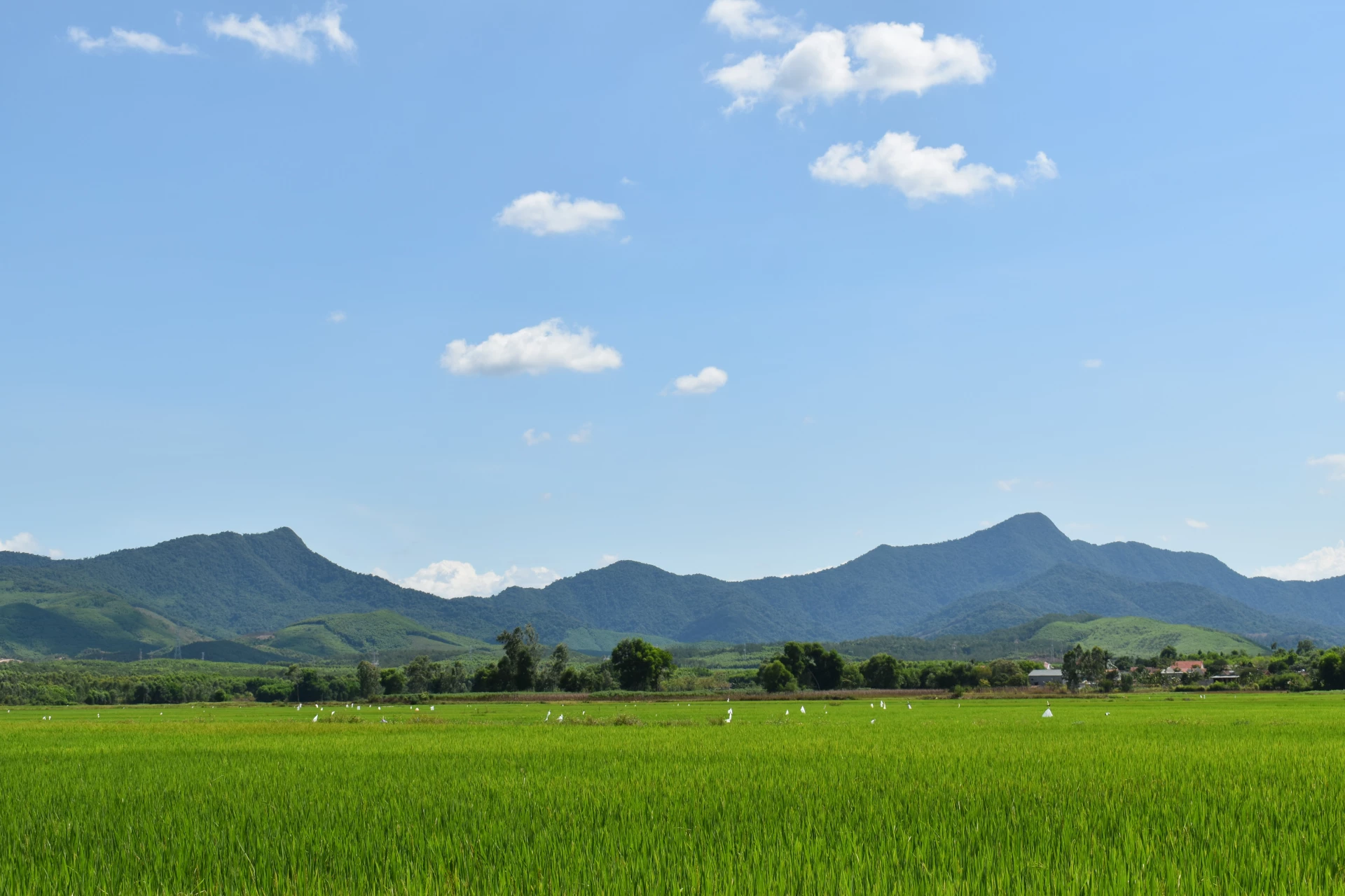 Núi Đầu Mâu, ở làng Lệ Kỳ, xã Quảng Ninh - Ảnh: K.S