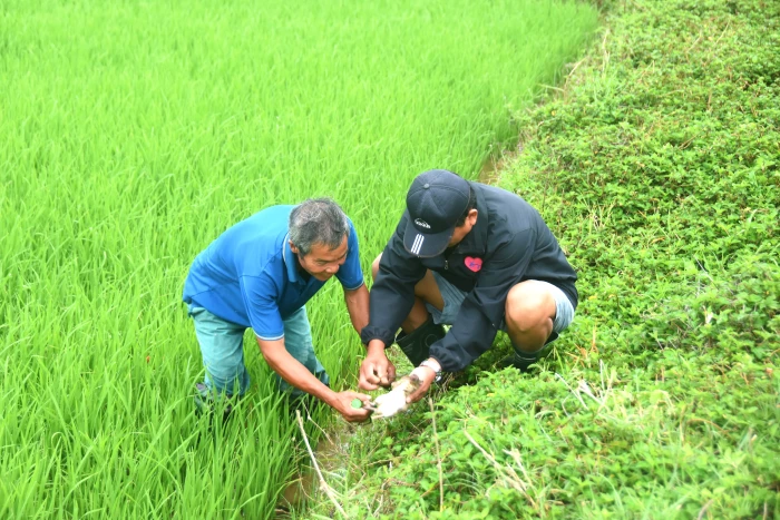Nông dân Triệu Cơ bảo vệ đồng ruộng