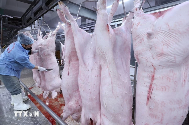 Tăng cường phát hiện, điều tra, xử lý nghiêm các hành vi vi phạm nghiêm trọng về kiểm soát giết mổ động vật làm lây lan dịch bệnh, gây mất an toàn thực phẩm. (Ảnh: Vũ Sinh/TTXVN)