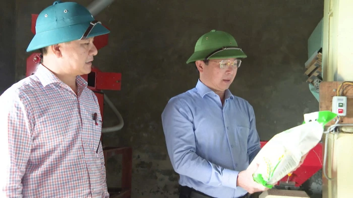 Gạo sạch Vĩnh Tuy