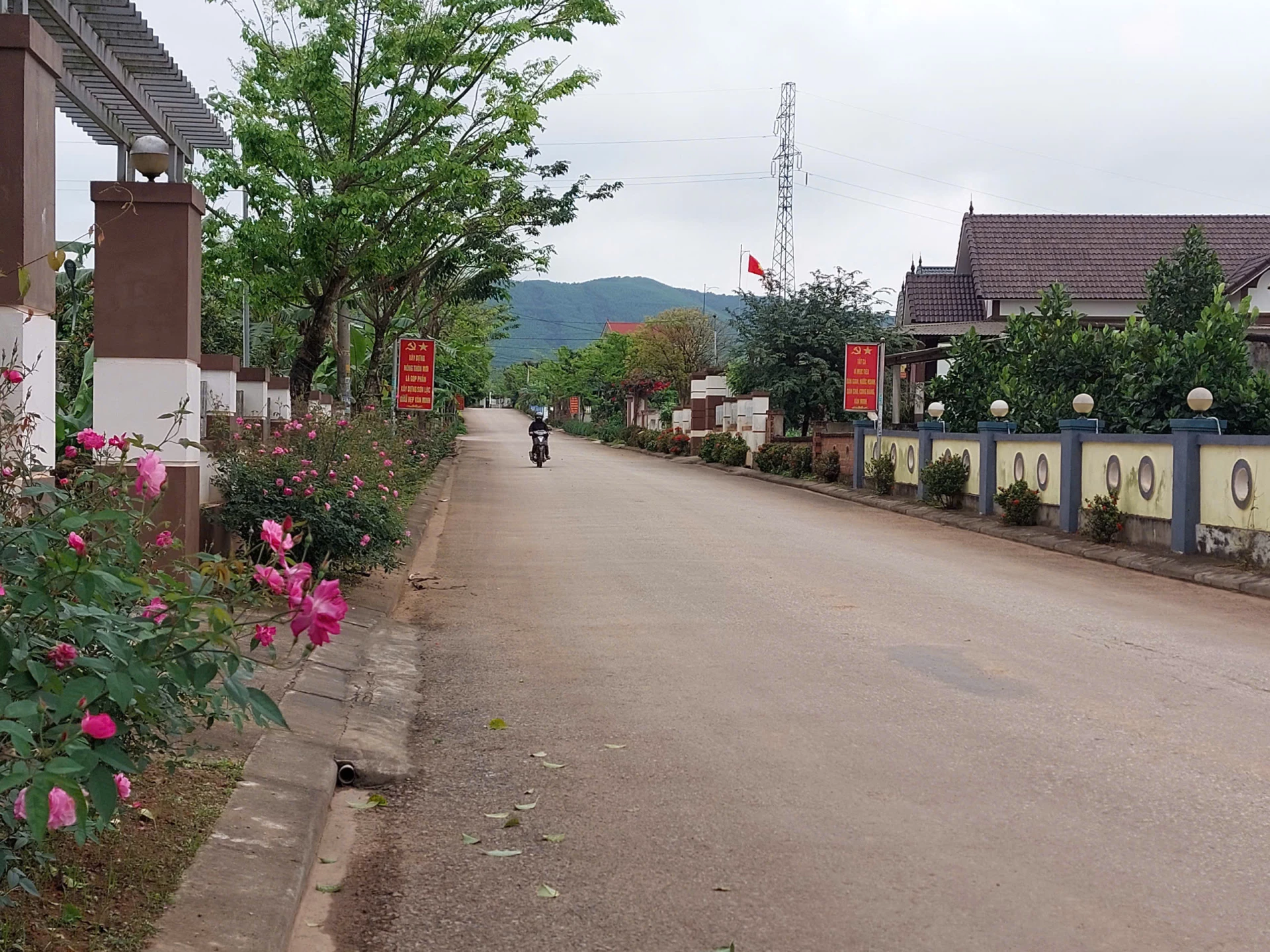 Mô hình con đường hoa đã giúp nhiều địa phương xây dựng hình ảnh về vùng quê xanh-sạch-đẹp - Ảnh: Đ.N