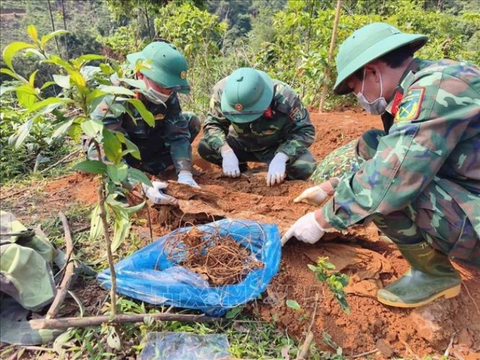 Thêm 3 hài cốt liệt sĩ được tìm thấy tại xã Hướng Lập