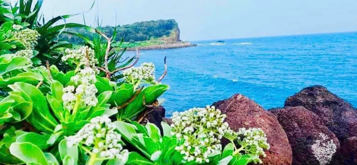 Phát huy văn hóa biển trong giai đoạn hiện nay