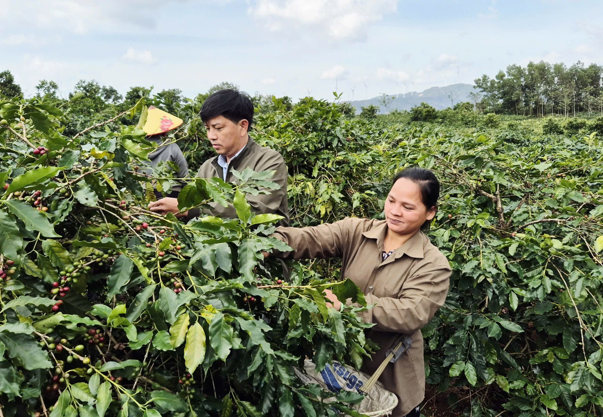 Sự đồng hành, hỗ trợ sát sao về kỹ thuật của Hội Nông dân là điểm tựa để chị Nuôi tự tin mở rộng sản xuất - Ảnh: K.S