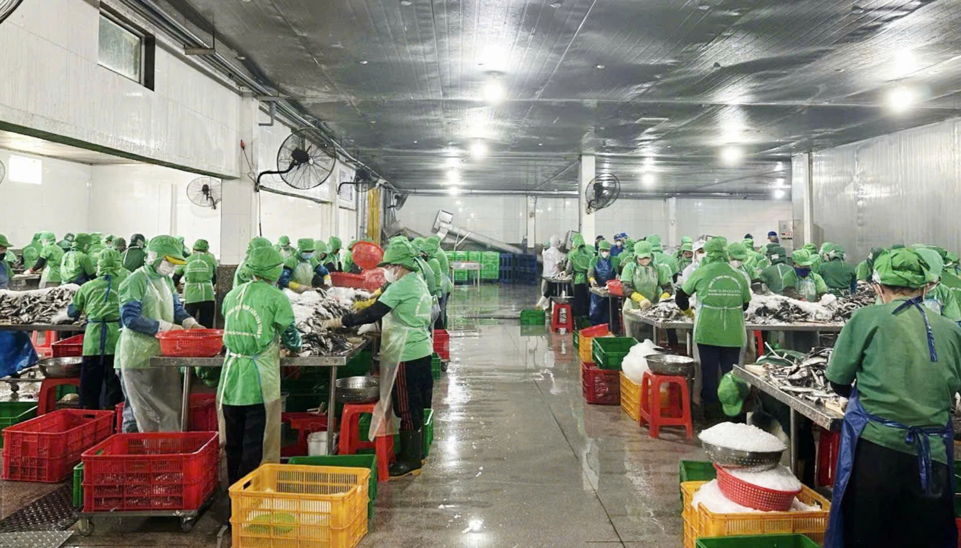 Công ty TNHH Ngọc Tuấn Cửa Tùng tạo việc làm và thu nhập ổn định cho hàng trăm lao động địa phương - Ảnh: K.S