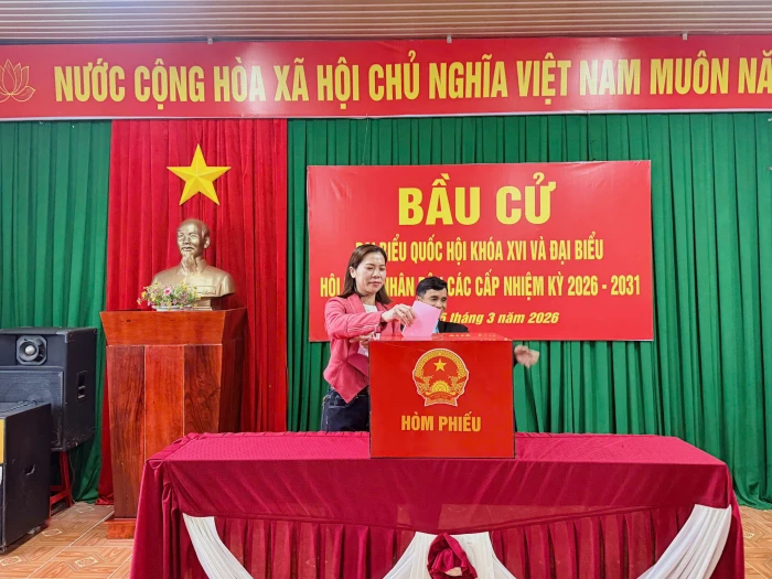 Đến 15 giờ ngày 15/3, tỉ lệ cử tri đi bầu cử trên toàn tỉnh đạt trên 97%