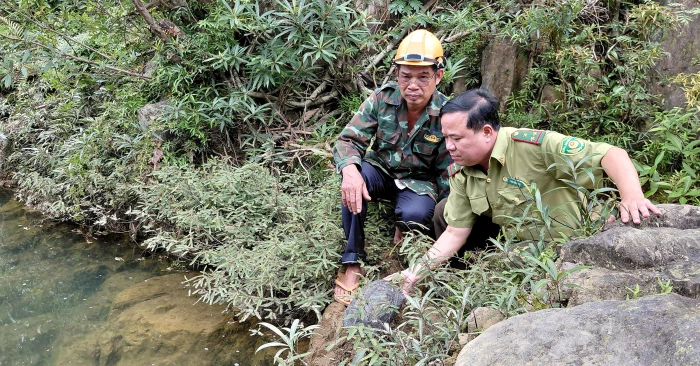 Thả cá thể rùa cổ sọc quý hiếm về môi trường tự nhiên