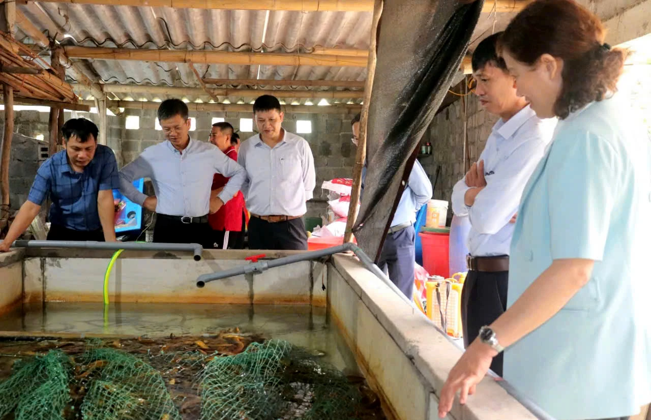 Các đại biểu Tham quan mô hình nuôi lươn không bùn ở tổ dân phố Đức Thị (phường Đồng Hới) - Ảnh: HND