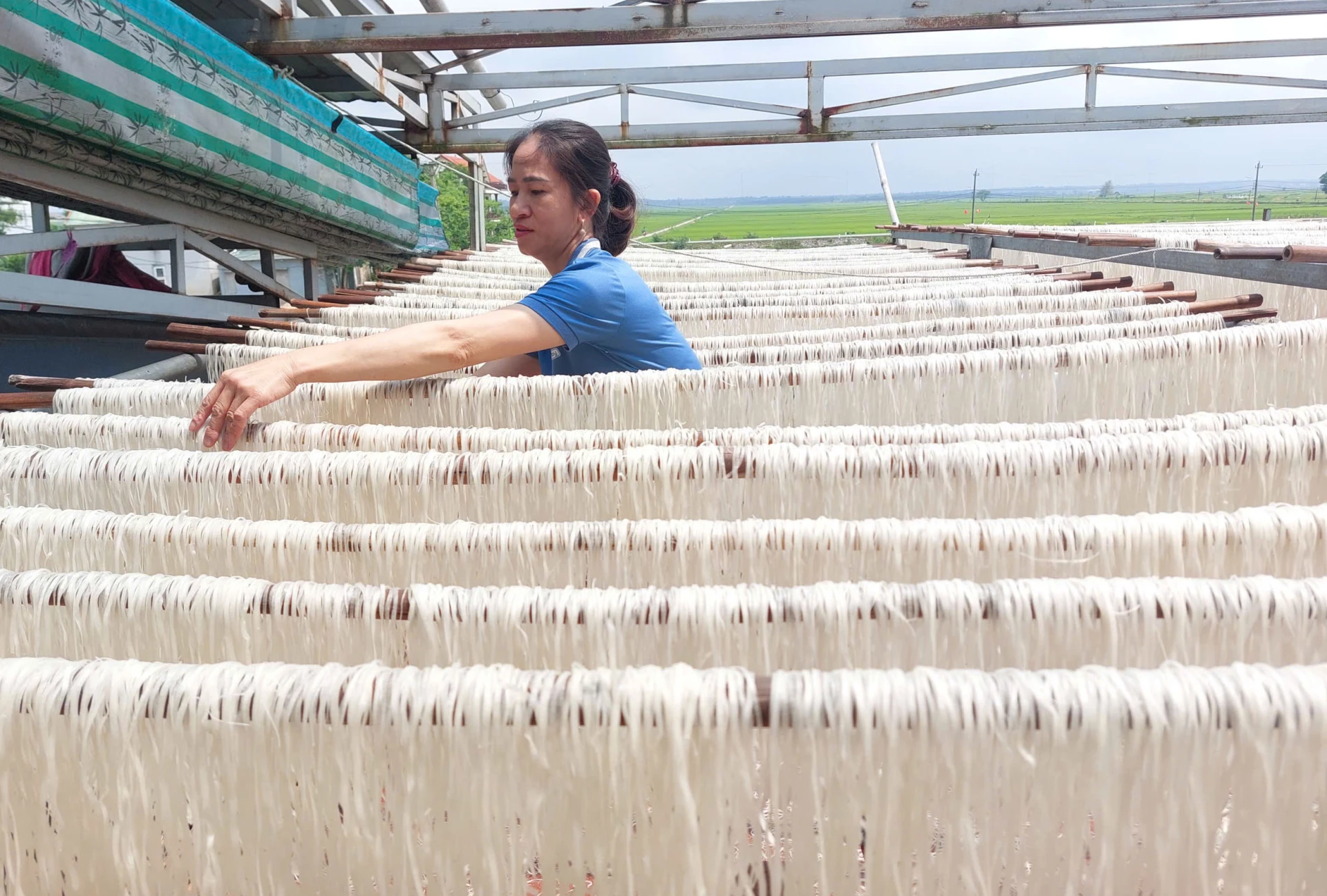 Công đoạn phơi khô sản phẩm miến gạo để cung ứng ra thị trường-Ảnh: ĐN