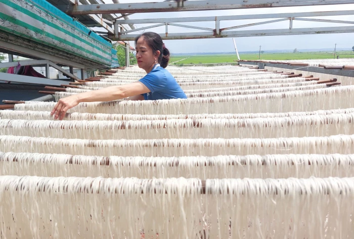 Từ hạt gạo đến sợi miến sạch