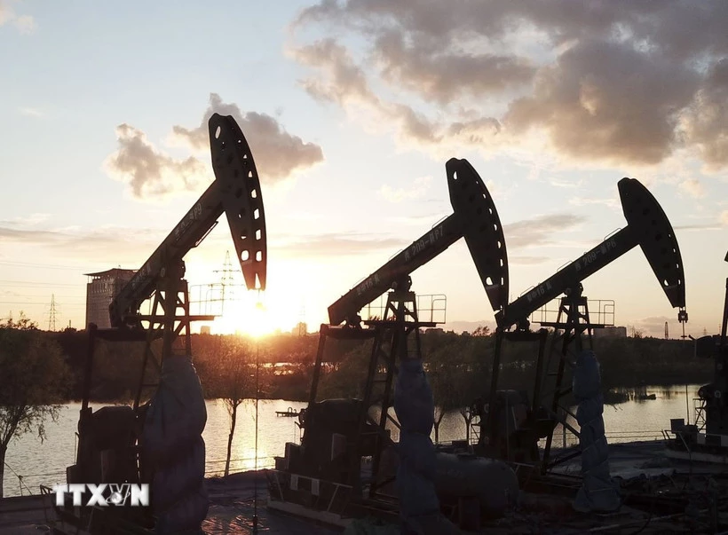 Ảnh minh họa. (Ảnh: THX/TTXVN)