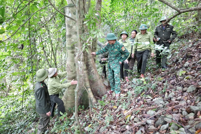 Chủ động phòng cháy, chữa cháy rừng từ sớm, từ xa