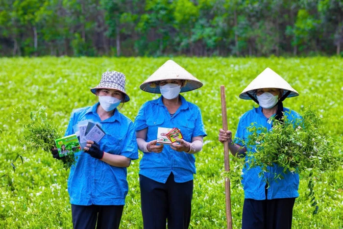 Xã Cam Lộ: Phát triển các sản phẩm OCOP