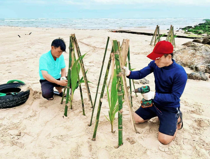 Giấc mơ dừa xanh trên cát bỏng Cửa Việt