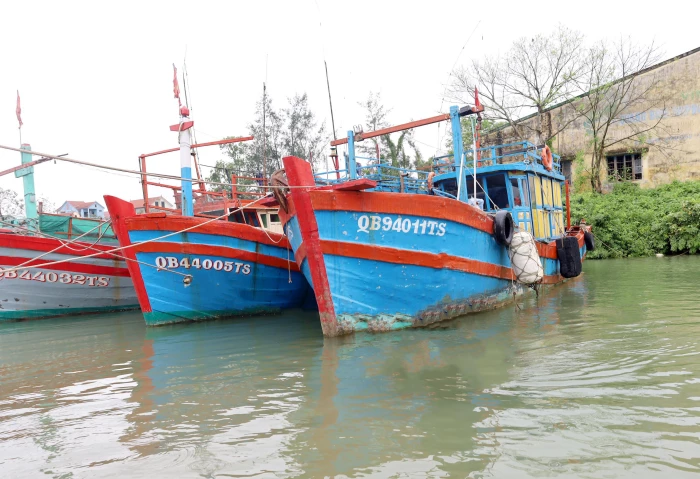 Chuyện về đội tàu cá tiên phong 'vượt cạn' ở Hải Ninh