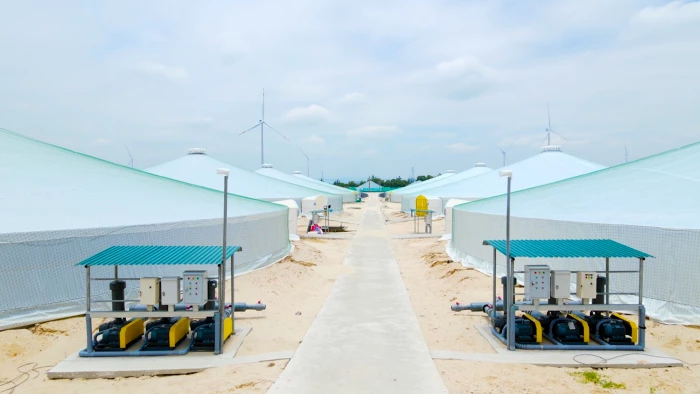 Vùng cát ven biển chuyển mình nhờ nuôi tôm công nghệ cao