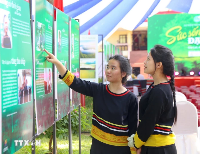 Tăng mức phạt đối với một số hành vi vi phạm trong lĩnh vực bình đẳng giới