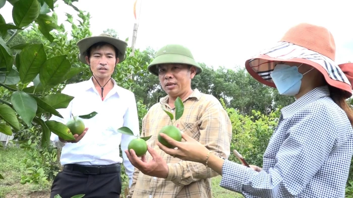 Sản xuất an toàn, nâng tầm giá trị nông sản