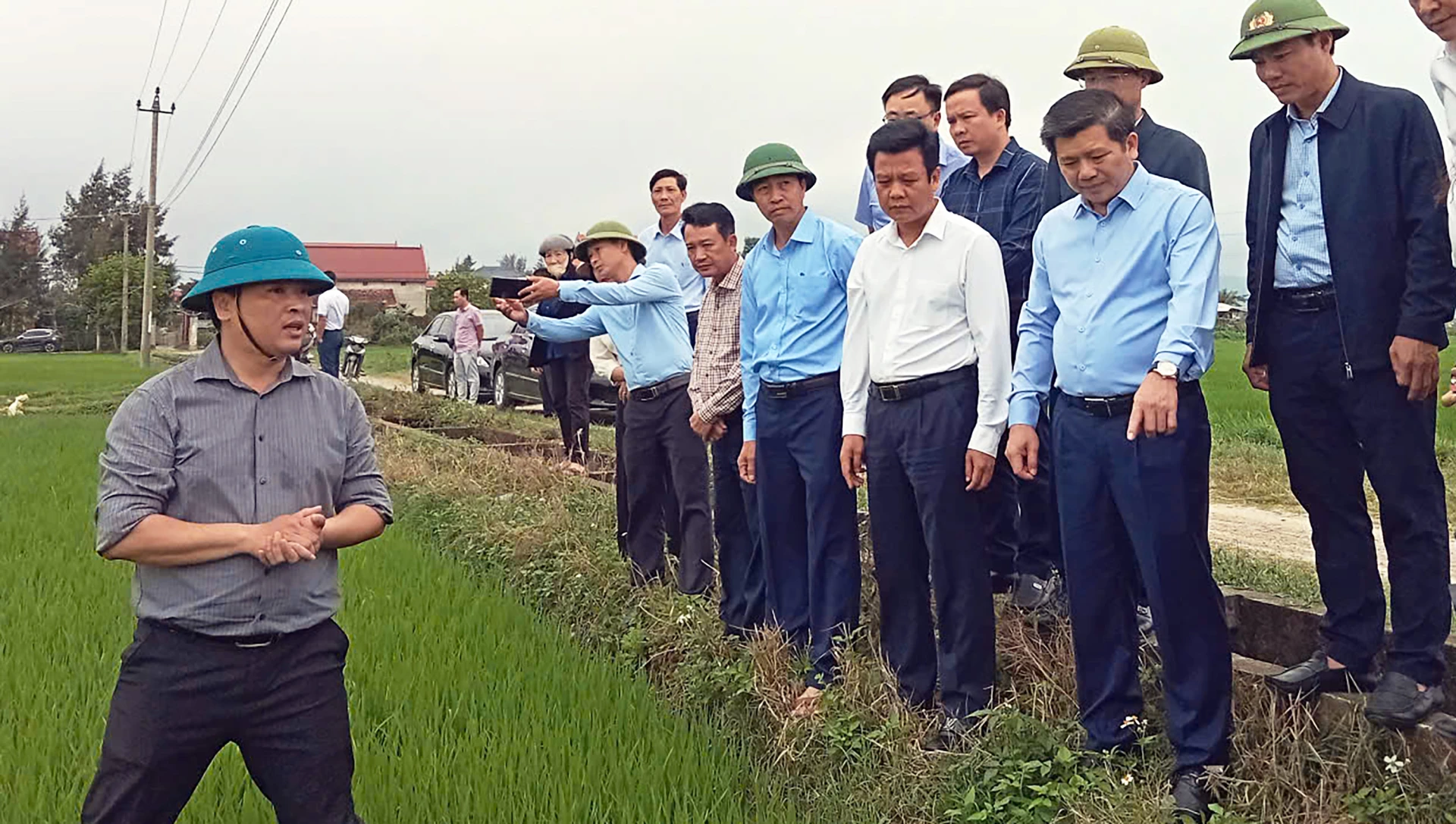 Mô hình sản xuất lúa theo quy trình giảm phát thải tại HTX Lộc Long góp phần nâng cao thu nhập và mở ra hướng đi bền vững cho cây lúa - Ảnh: N.M