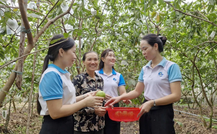 Thay đổi để phát triển kinh tế nông thôn bền vững