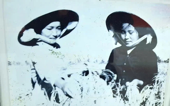 Sáng mãi phong trào phụ nữ thi đua 5 tốt