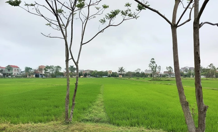 'Trời xanh sau mưa' sự 'tái sinh' diệu kỳ