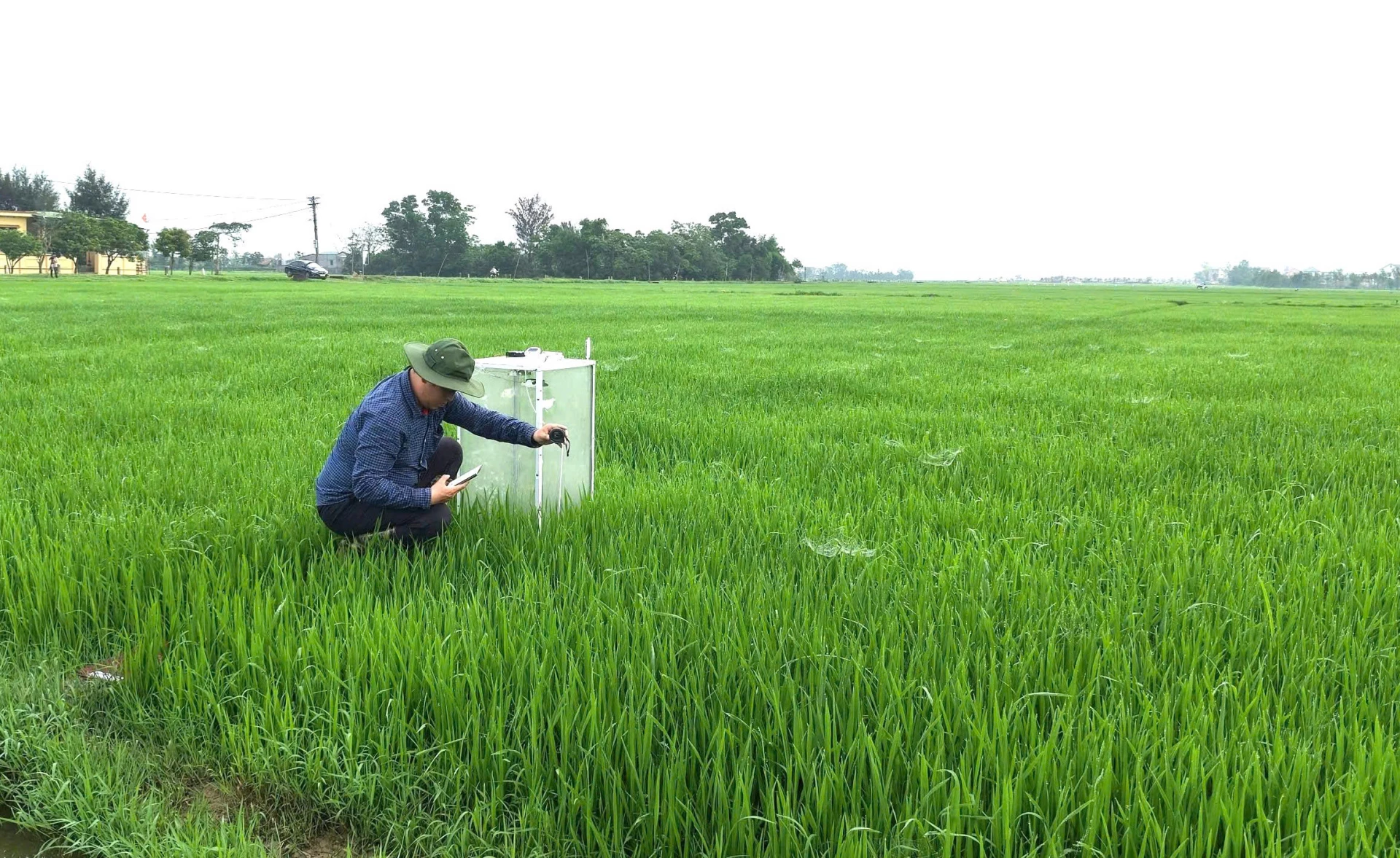 Đo phát thải trên đồng ruộng tại xã Trường Ninh-Ảnh Đ.H