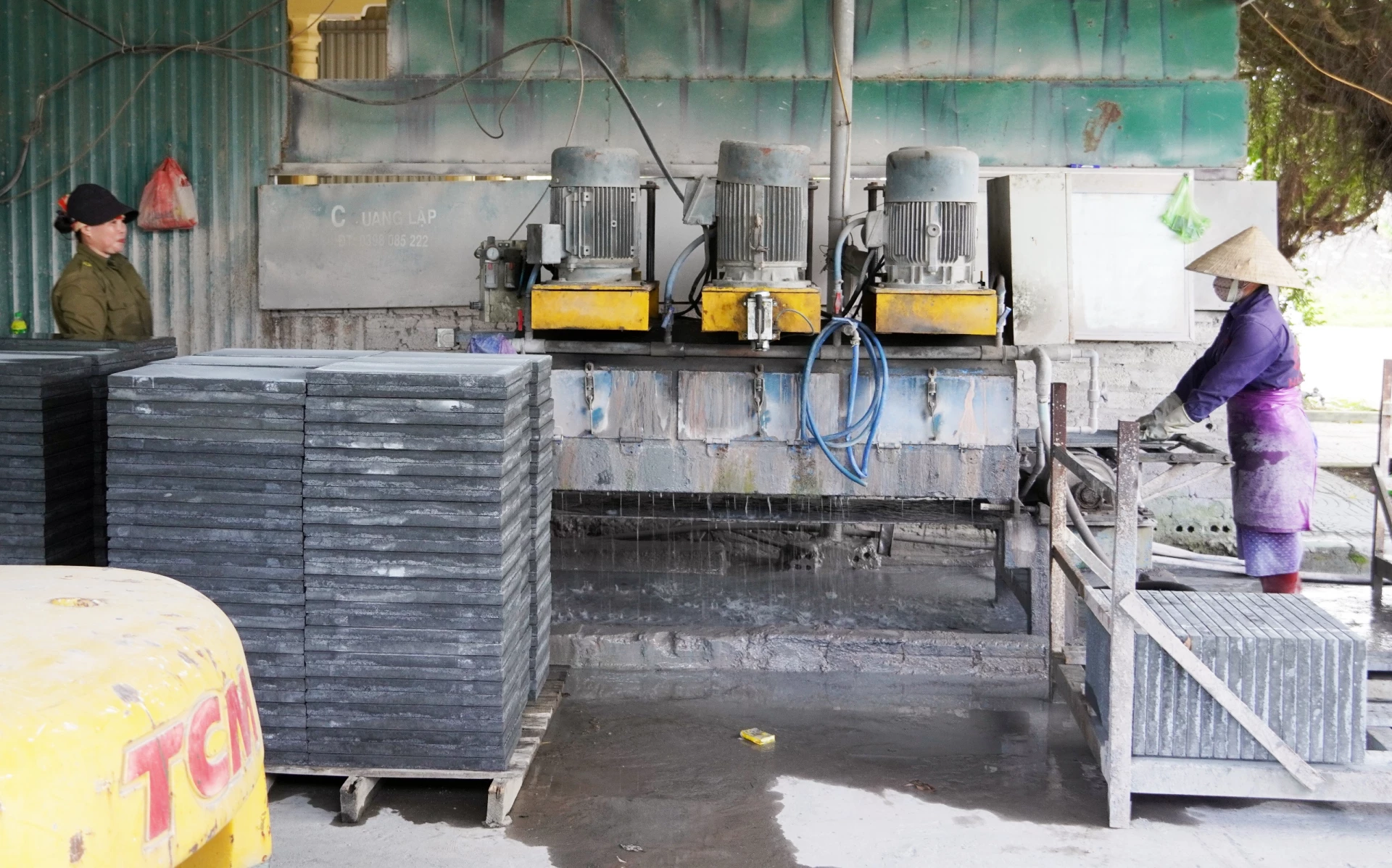 Không chỉ làm giàu cho gia đình, công ty của anh Trần Thế Quang còn tạo việc làm cho nhiều lao động tại địa phương - Ảnh: L.Chi