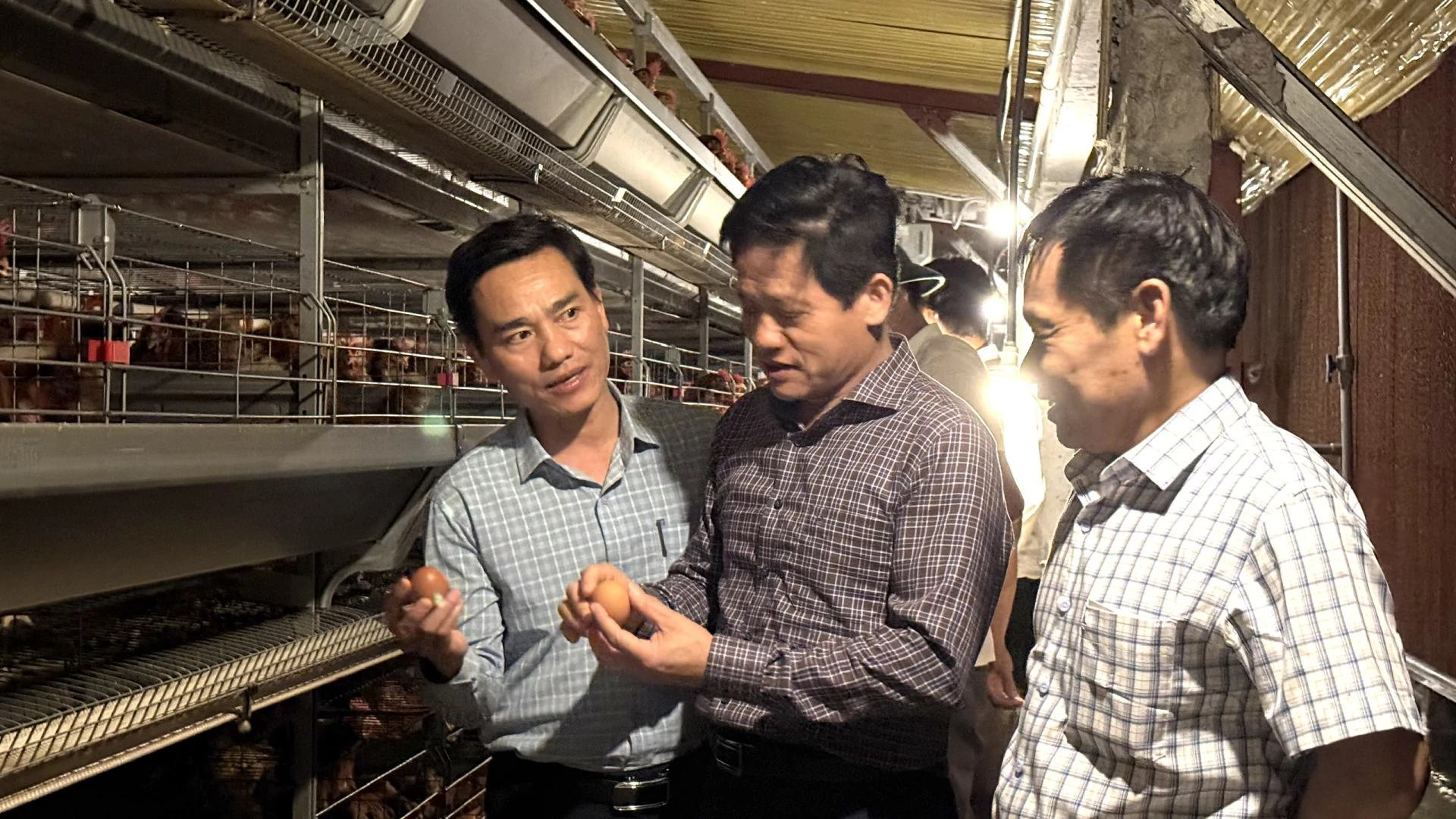 Đồng chí Lê Văn Bảo, Ủy viên Ban Thường vụ Tỉnh ủy, Phó Chủ tịch UBND tỉnh kiểm tra tại trang trại chăn nuôi gà công nghệ cao của Công ty TNHH TM XD tổng hợp Hoàng Văn - Ảnh: NL