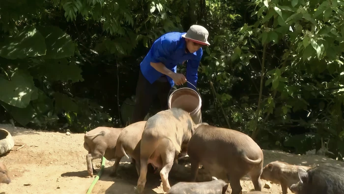 Hiệu quả từ mô hình kinh tế của thanh niên Bru-Vân Kiều