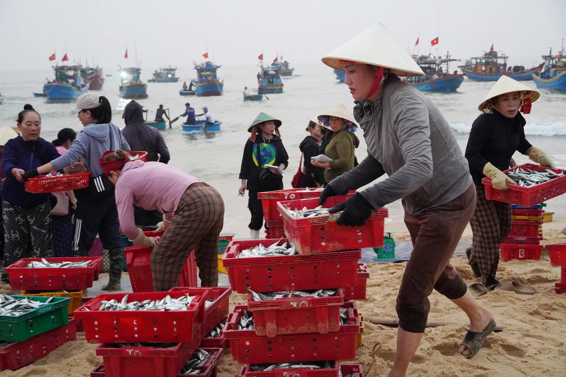 Các thương lái hối hả tập kết cá để kịp vận chuyển đi các chợ trong, ngoài tỉnh - Ảnh: L.M