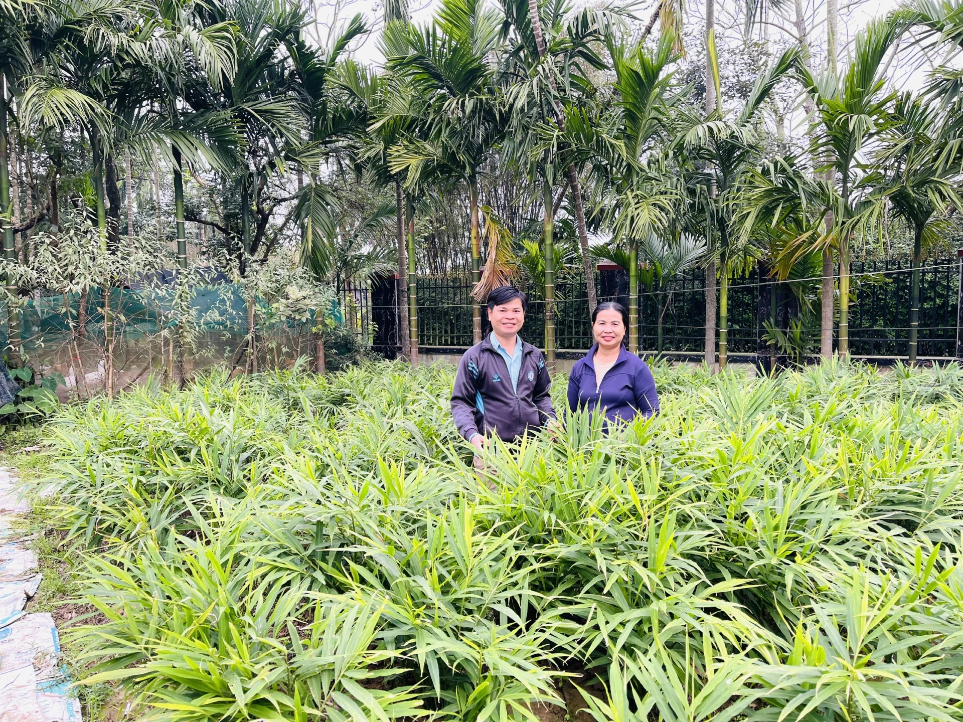 Anh Phan Việt Toàn thăm vườn trồng trọt hoa màu của người dân - Ảnh: Đ.V

