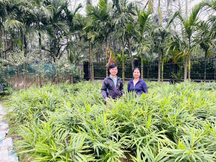 'Gần dân, sát ruộng' làm điểm tựa hỗ trợ nông dân