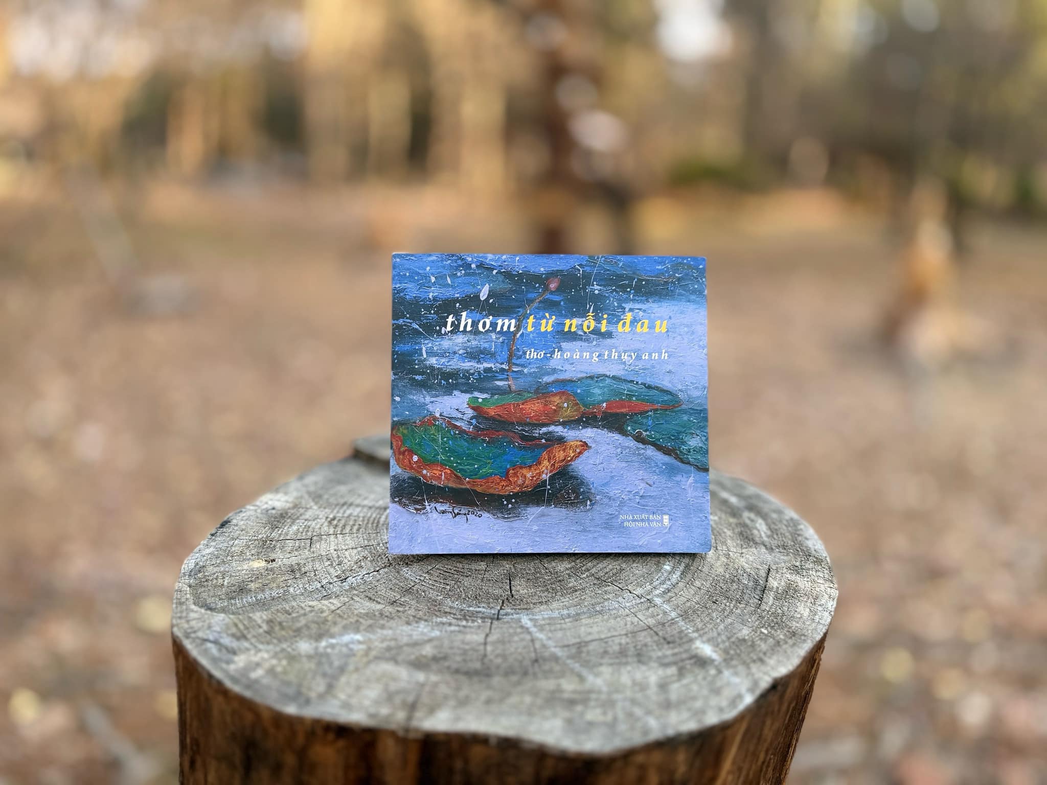Tập thơ Thơm từ nỗi đau của nhà thơ, nhà phê bình văn học Hoàng Thụy Anh. Ảnh: NVCC