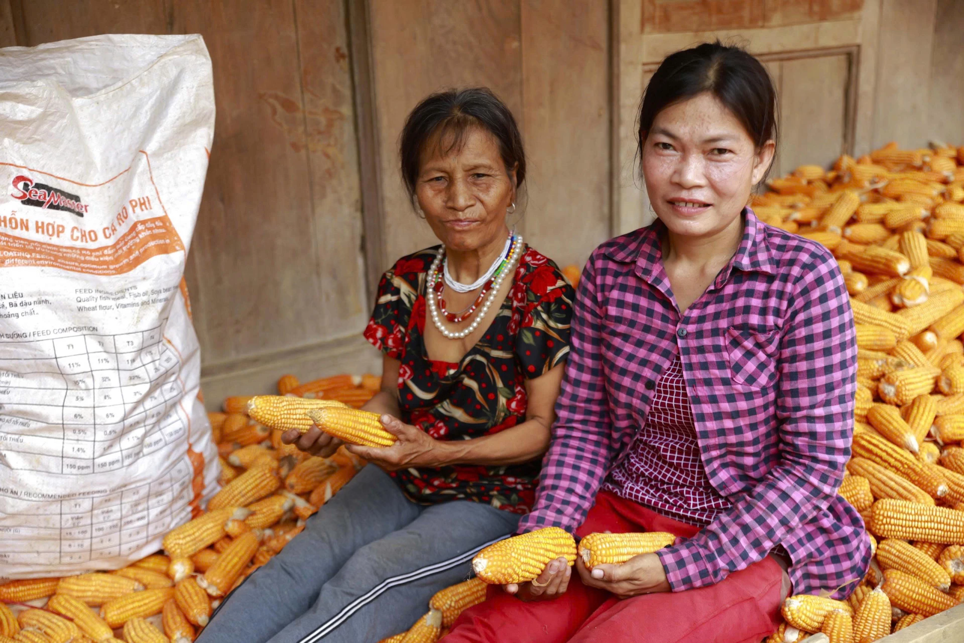  Mùa thu hoạch ngô ở thôn Pire 1 và Pire 2 - Ảnh: T.L
