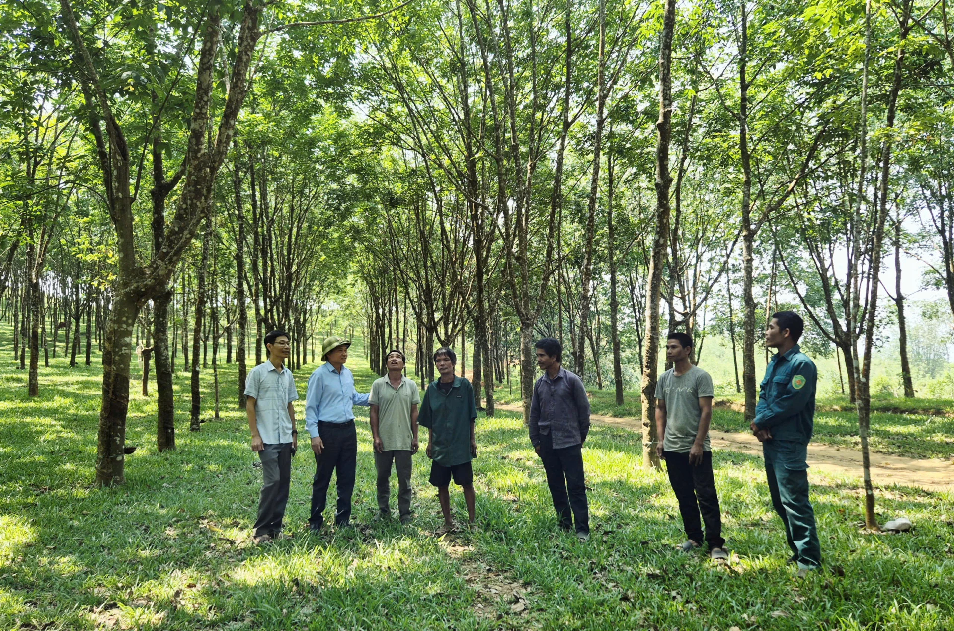 Lãnh đạo Đảng ủy xã A Dơi thăm và động viên mô hình trồng cao su tiểu điền của anh Hồ Xuân Hang - Ảnh: K.S