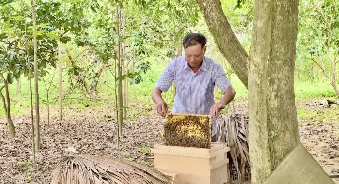 Tuyên Sơn: Đồng hành với người dân trong phát triển kinh tế