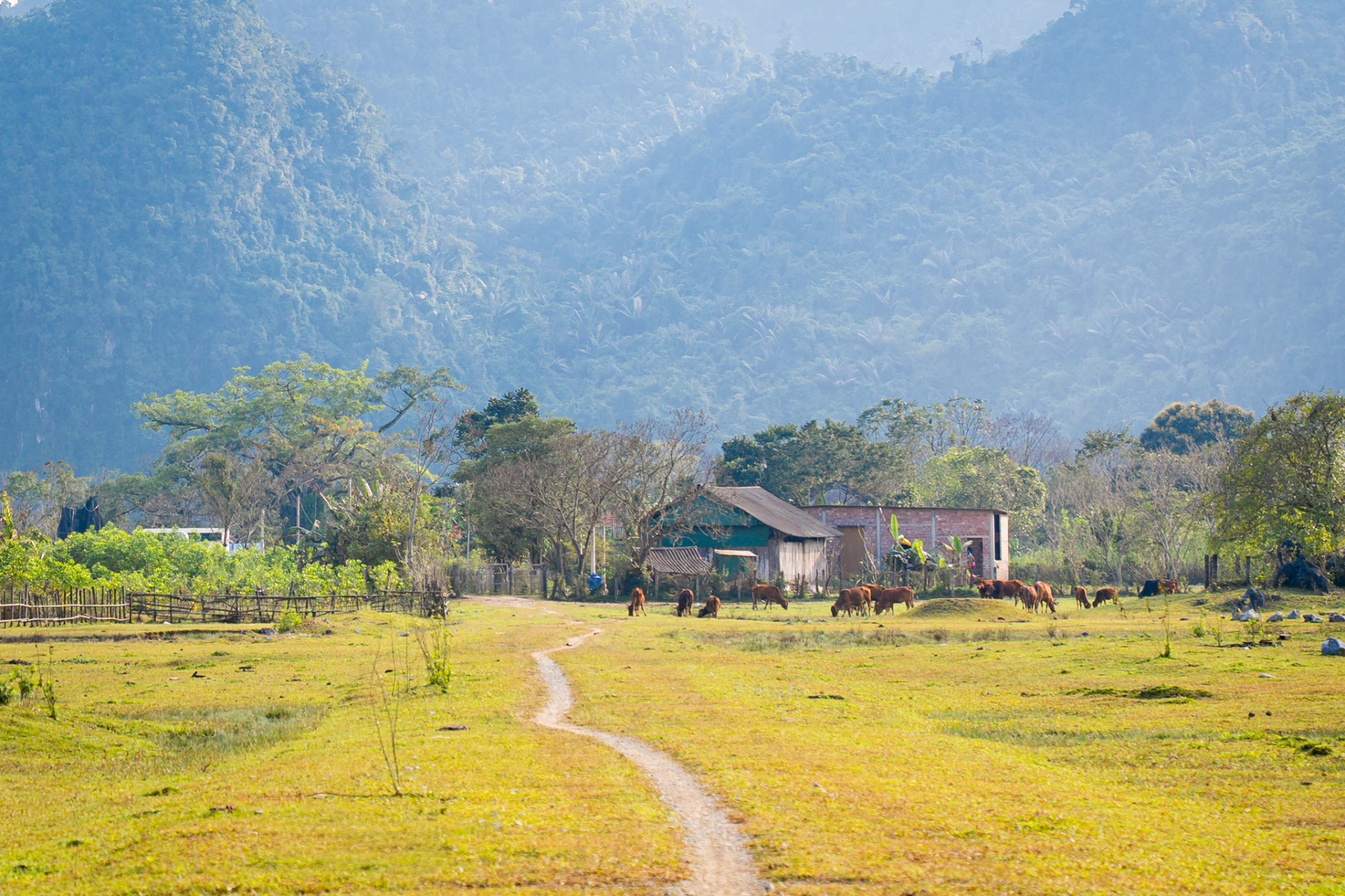 Kim Phú không chỉ có sự kỳ vĩ. Đi sâu vào lòng thung lũng, ta bắt gặp một nhịp sống bình dị đến lạ thường