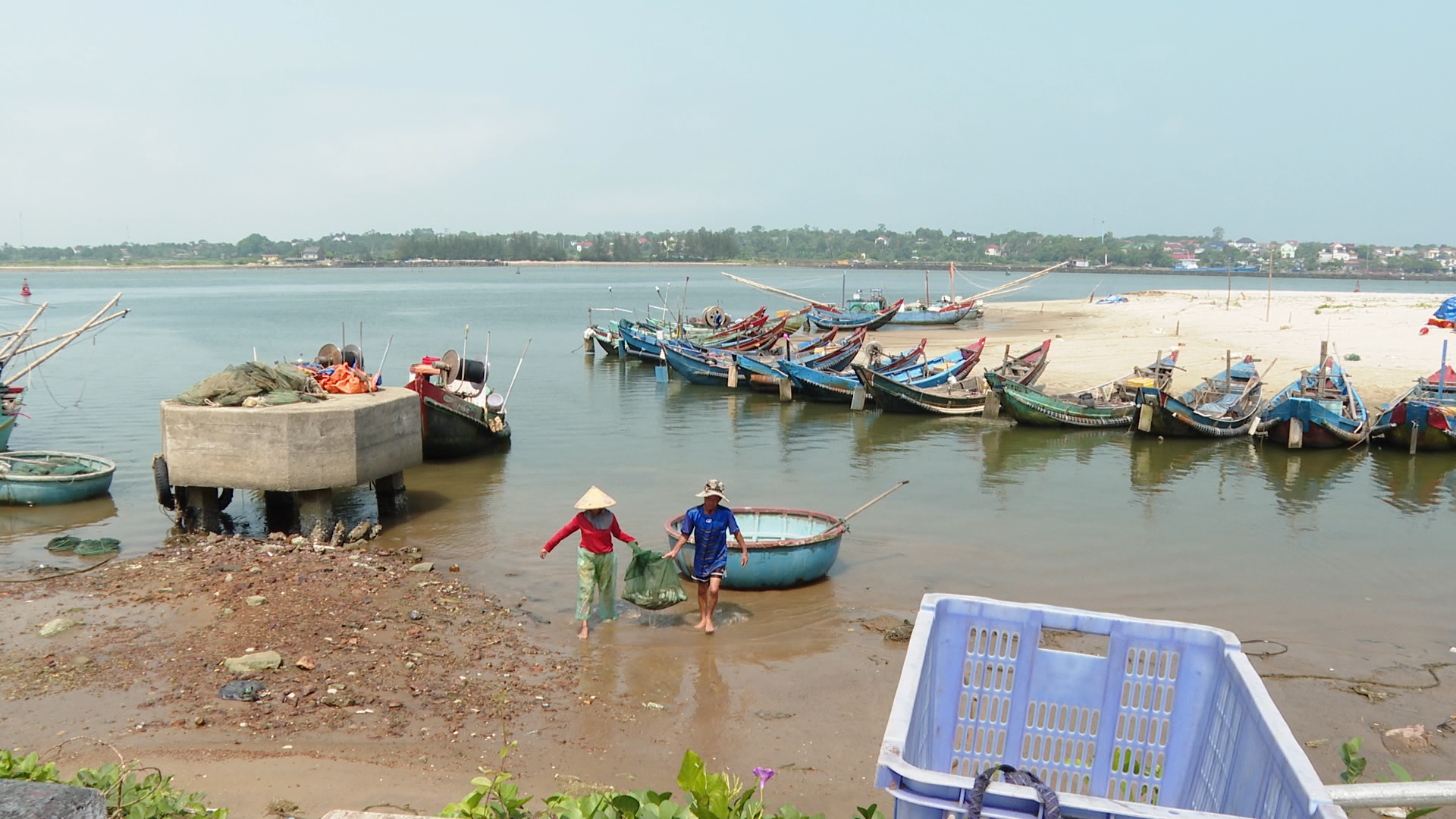 Ngư dân Bến Hải thu hoạch cá-Ảnh N.D.