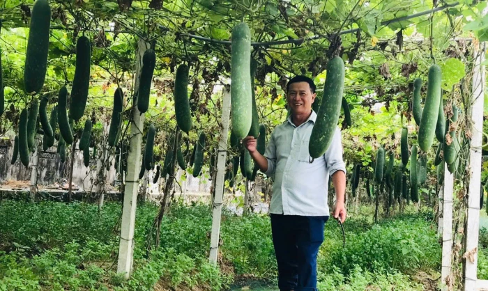 Trưởng thôn làm kinh tế giỏi