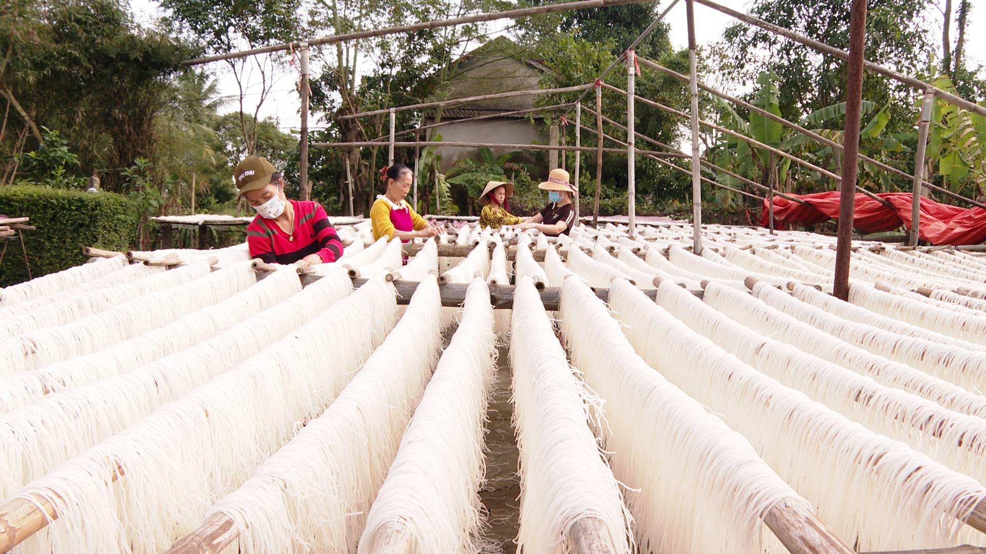 Người dân làngHiền Lương sản xuất miến -Ảnh: N.D