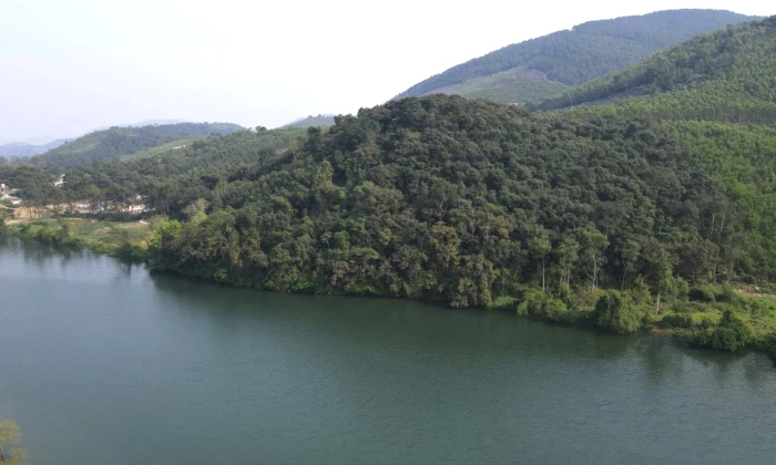 Rừng Cấm bên dòng Rào Nan