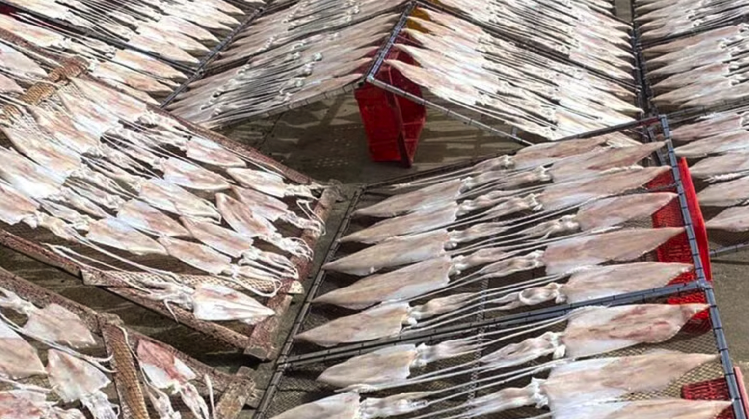 Sơ chế hàng thủy sản-sản phẩm OCOP ở phường Đồng Hới, tỉnh Quảng Trị.