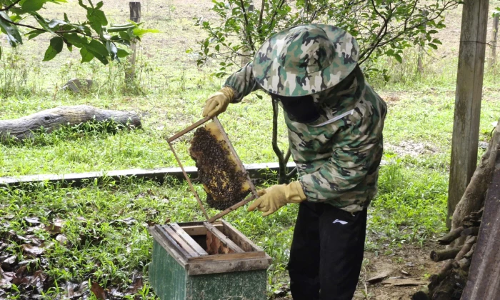 Thúc đẩy sinh kế, giảm nghèo bền vững