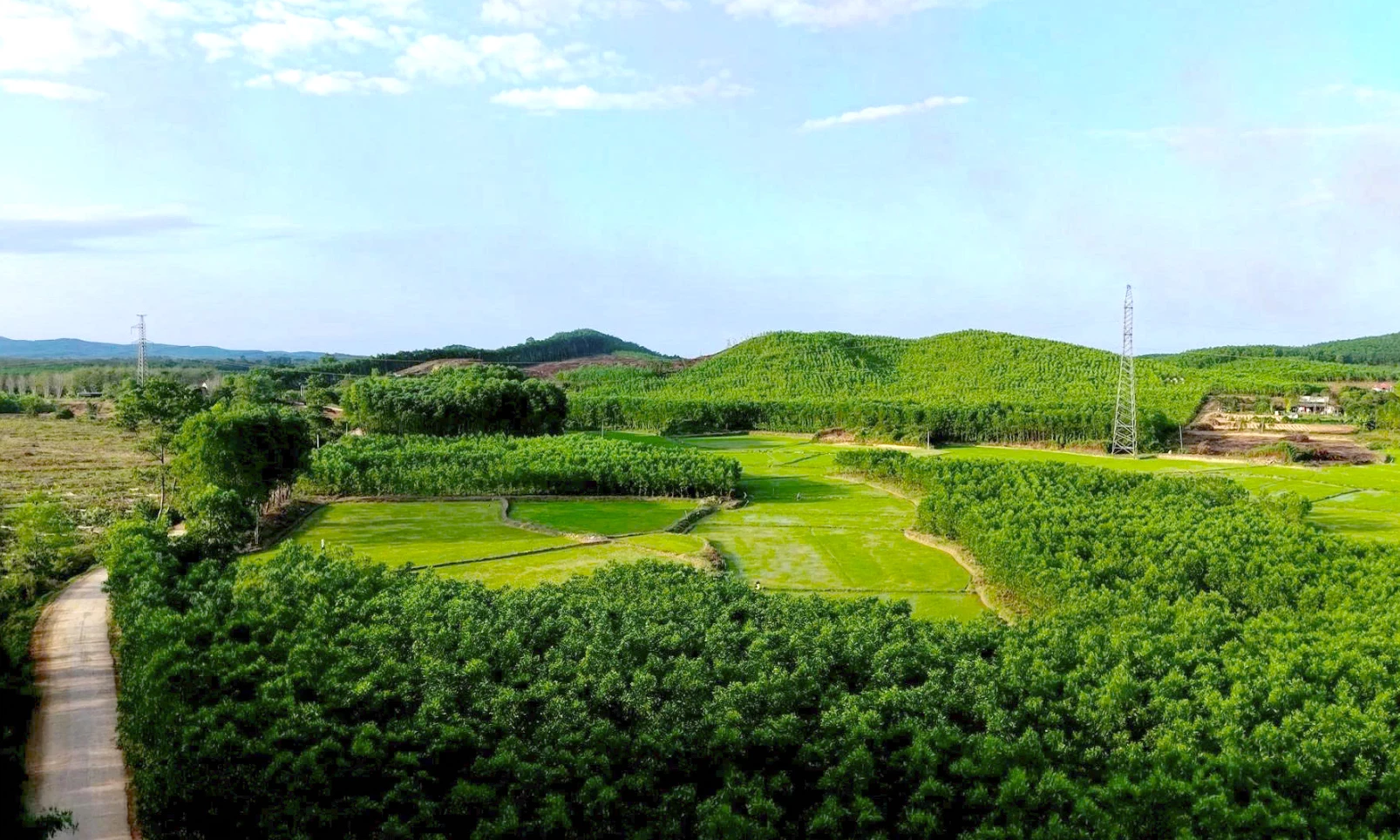 Chủ động phòng, chống cháy rừng