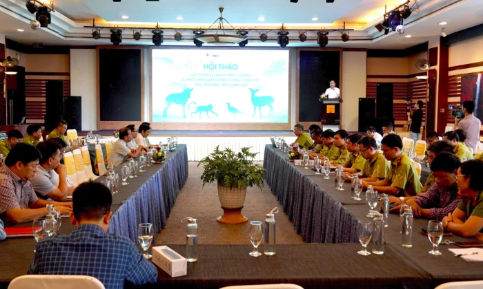 Tăng cường thực thi pháp luật và thay đổi hành vi tiêu thụ động vật hoang dã