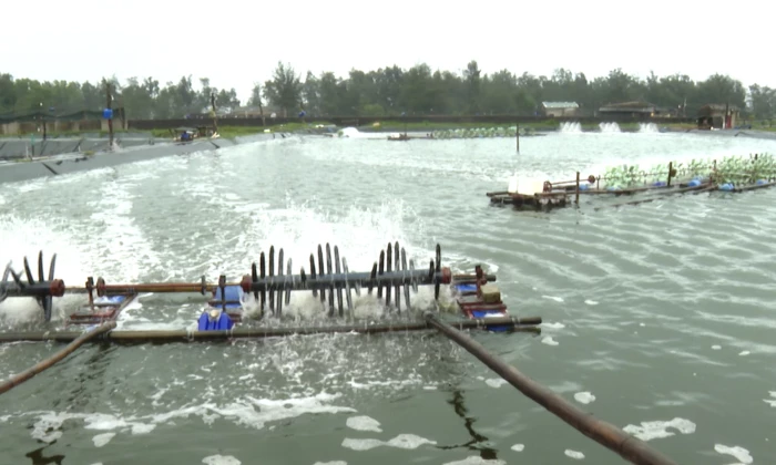 Bến Hải-Đón sóng mới từ kinh tế biển