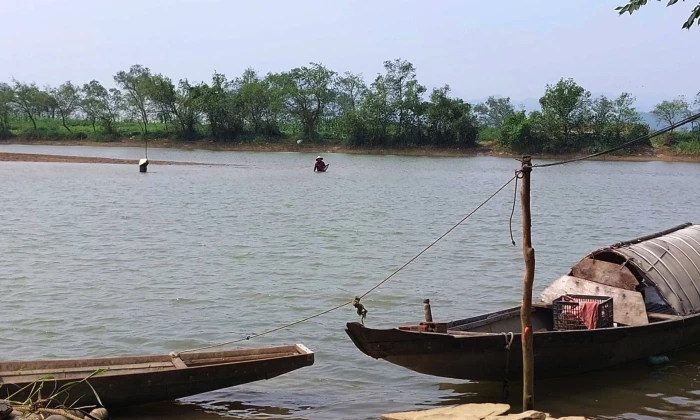 Mùa cào chần chần ở Phú Ninh