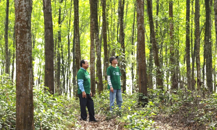 Quảng Trị có 2 hợp tác xã đạt giải thưởng Ngôi sao Hợp tác xã 'CoopStar Awards' năm 2026