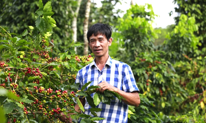 Hướng Phùng-Nơi 'đất lành chim đậu'